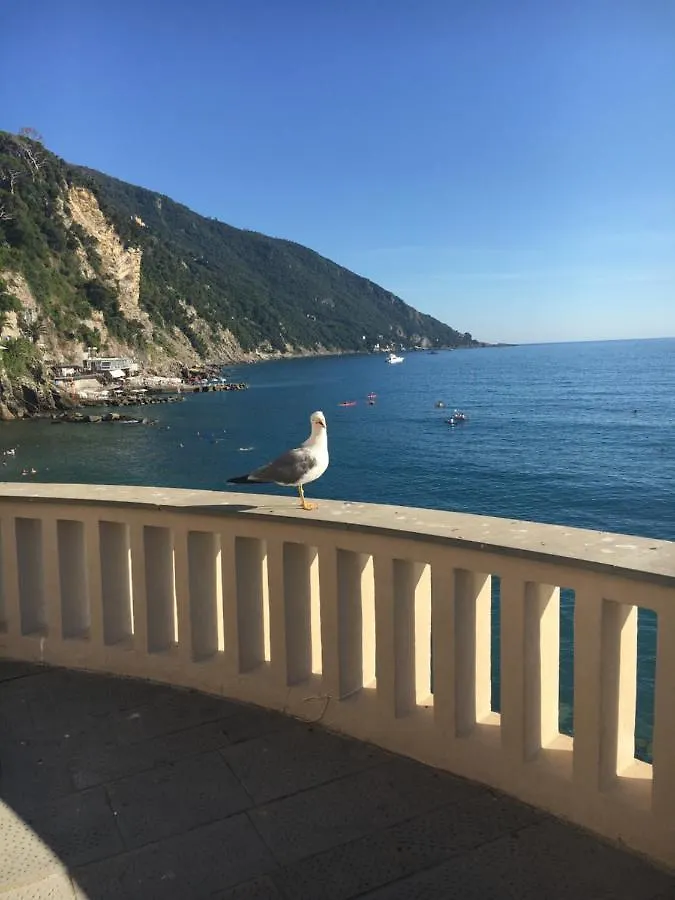 Casetta Del Marinaio Camogli Guest house