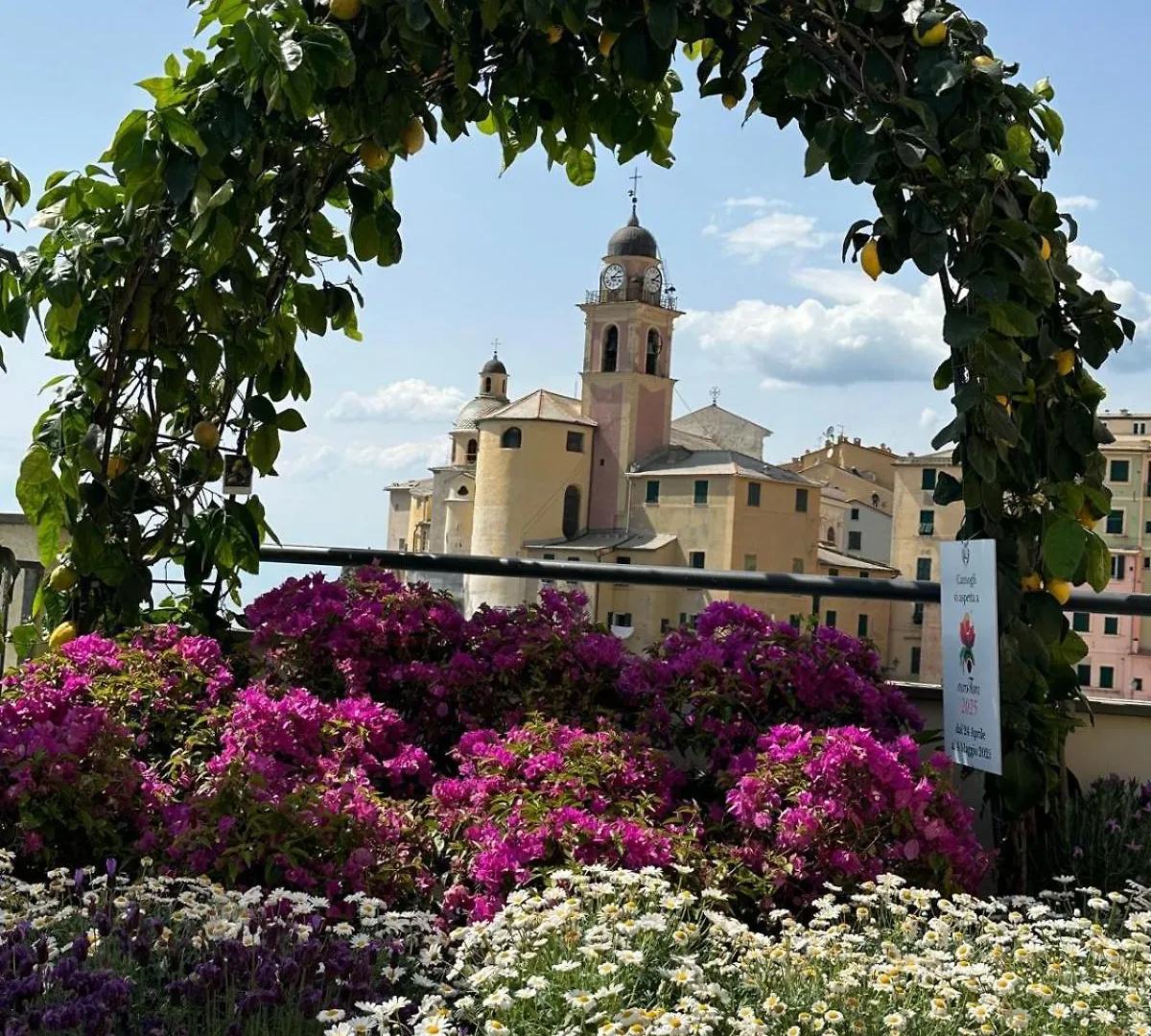 Guest house Casetta Del Marinaio Camogli Italy
